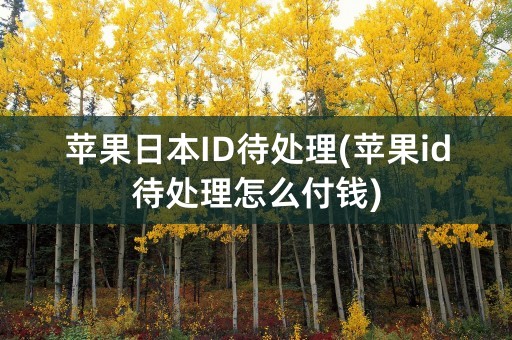 苹果日本ID待处理(苹果id待处理怎么付钱)