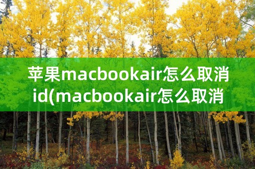 苹果macbookair怎么取消id(macbookair怎么取消开机密码)