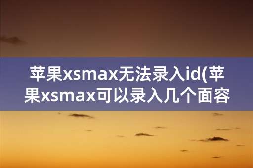 苹果xsmax无法录入id(苹果xsmax可以录入几个面容id)