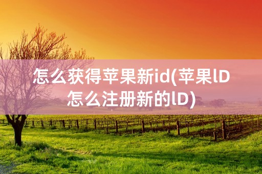 怎么获得苹果新id(苹果lD怎么注册新的lD)