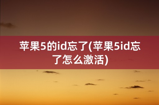 苹果5的id忘了(苹果5id忘了怎么激活)