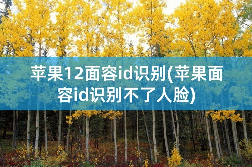 苹果12面容id识别(苹果面容id识别不了人脸)