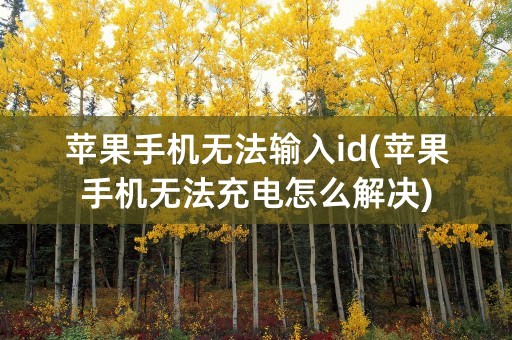 苹果手机无法输入id(苹果手机无法充电怎么解决)