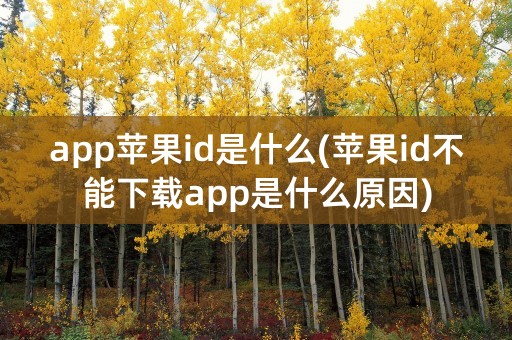 app苹果id是什么(苹果id不能下载app是什么原因)