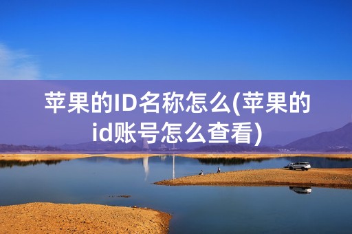 苹果的ID名称怎么(苹果的id账号怎么查看)