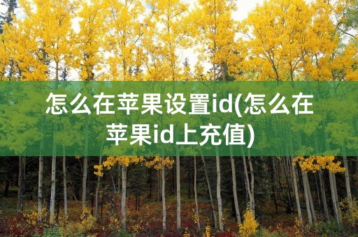 怎么在苹果设置id(怎么在苹果id上充值)