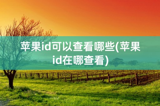 苹果id可以查看哪些(苹果id在哪查看)