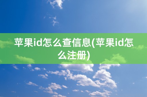 苹果id怎么查信息(苹果id怎么注册)