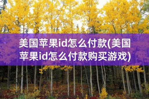 美国苹果id怎么付款(美国苹果id怎么付款购买游戏)