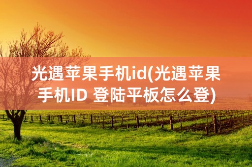 光遇苹果手机id(光遇苹果手机ID 登陆平板怎么登)