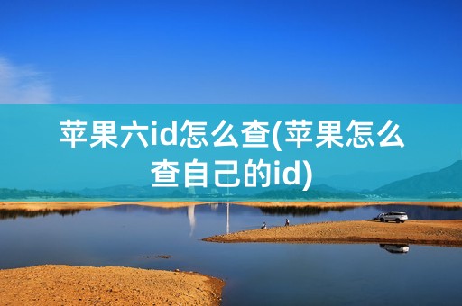 苹果六id怎么查(苹果怎么查自己的id)