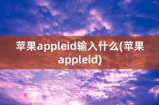 苹果appleid输入什么(苹果appleid)