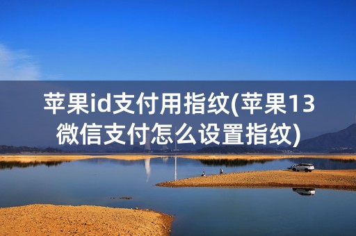 苹果id支付用指纹(苹果13微信支付怎么设置指纹)