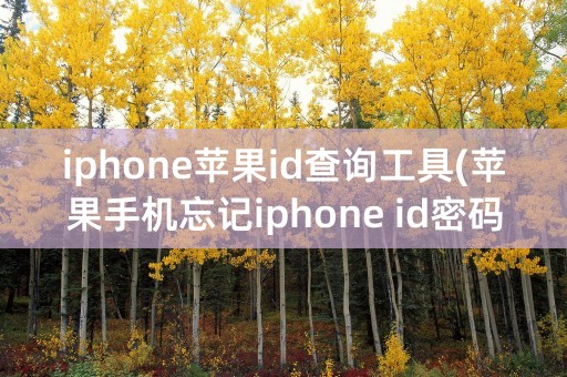 iphone苹果id查询工具(苹果手机忘记iphone id密码怎么办)