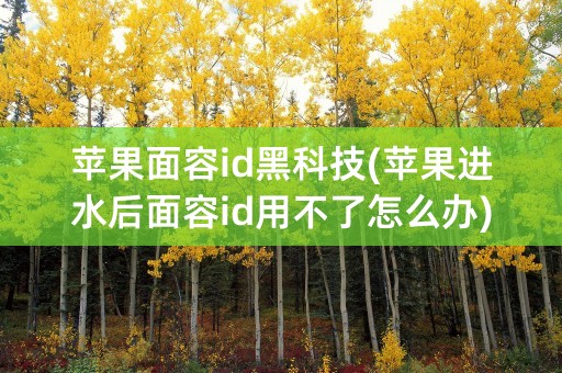 苹果面容id黑科技(苹果进水后面容id用不了怎么办)