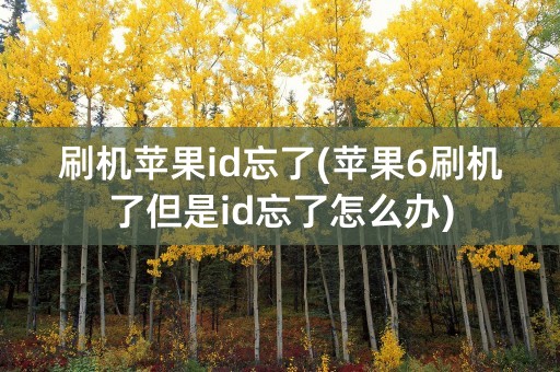 刷机苹果id忘了(苹果6刷机了但是id忘了怎么办)