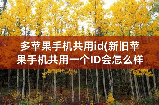 多苹果手机共用id(新旧苹果手机共用一个ID会怎么样)