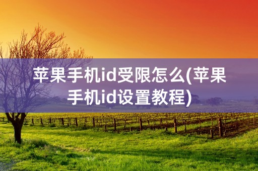 苹果手机id受限怎么(苹果手机id设置教程)