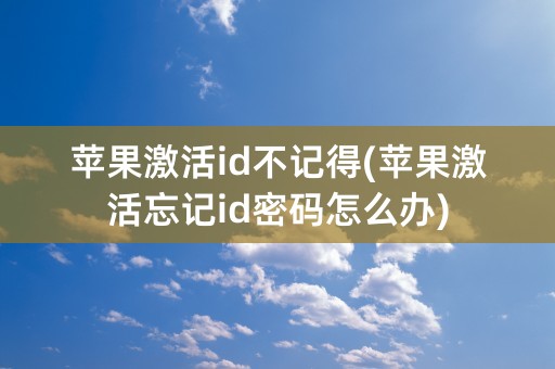 苹果激活id不记得(苹果激活忘记id密码怎么办)