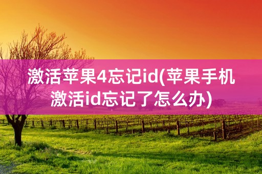 激活苹果4忘记id(苹果手机激活id忘记了怎么办)