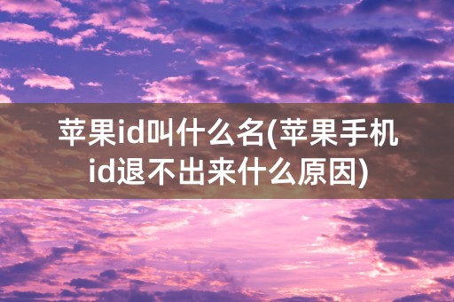 苹果id叫什么名(苹果手机id退不出来什么原因)