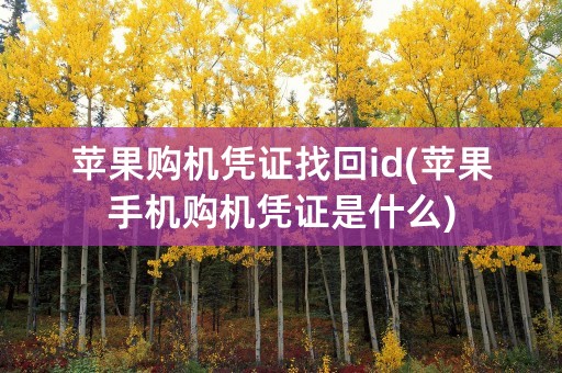 苹果购机凭证找回id(苹果手机购机凭证是什么)