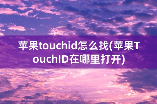 苹果touchid怎么找(苹果TouchID在哪里打开)