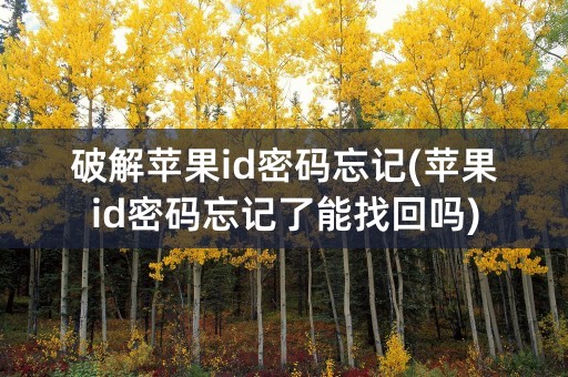 破解苹果id密码忘记(苹果id密码忘记了能找回吗)