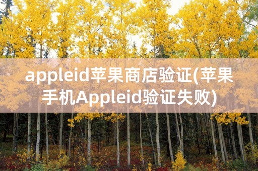 appleid苹果商店验证(苹果手机Appleid验证失败)