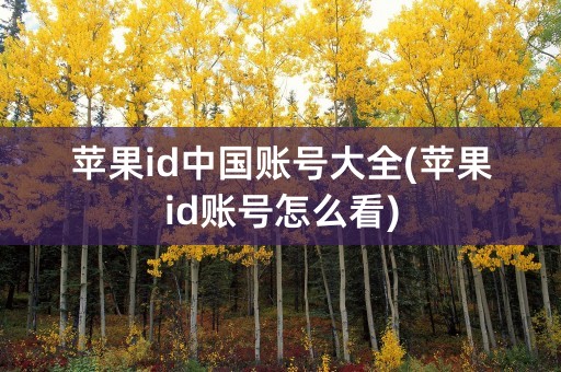 苹果id中国账号大全(苹果id账号怎么看)