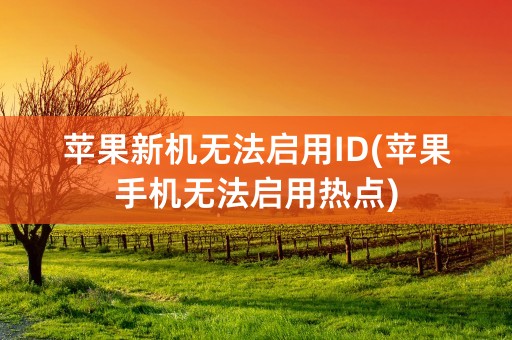 苹果新机无法启用ID(苹果手机无法启用热点)