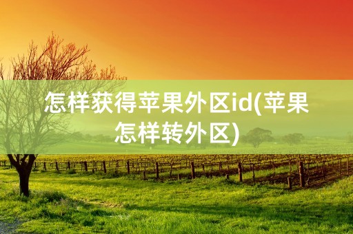 怎样获得苹果外区id(苹果怎样转外区)