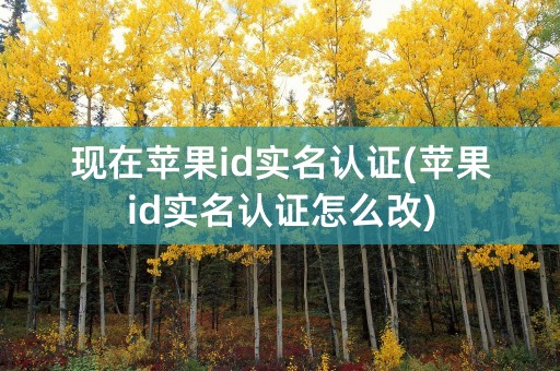 现在苹果id实名认证(苹果id实名认证怎么改)