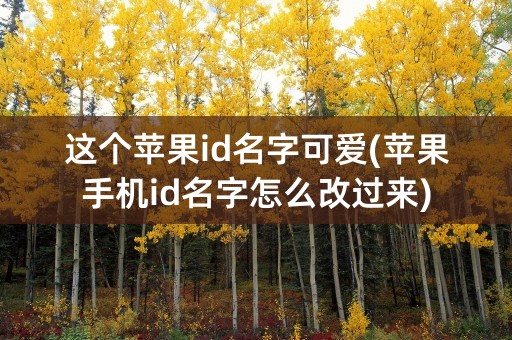 这个苹果id名字可爱(苹果手机id名字怎么改过来)