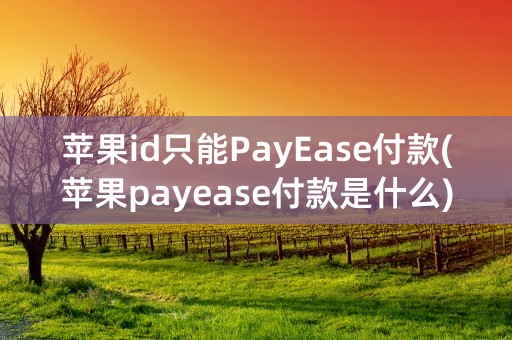 苹果id只能PayEase付款(苹果payease付款是什么)