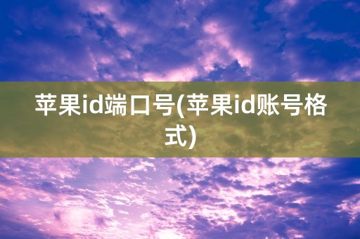 苹果id端口号(苹果id账号格式)