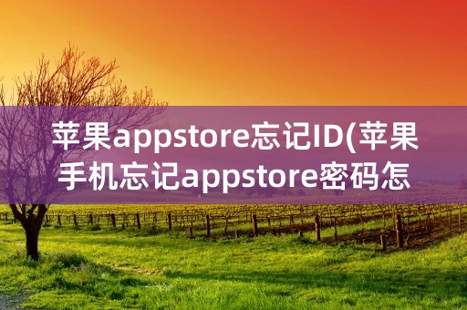 苹果appstore忘记ID(苹果手机忘记appstore密码怎么办)