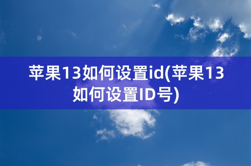 苹果13如何设置id(苹果13如何设置ID号)