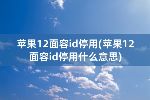 苹果12面容id停用(苹果12面容id停用什么意思)