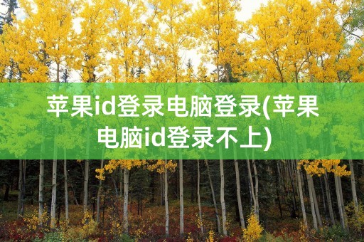 苹果id登录电脑登录(苹果电脑id登录不上)