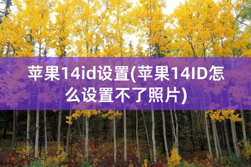 苹果14id设置(苹果14ID怎么设置不了照片)