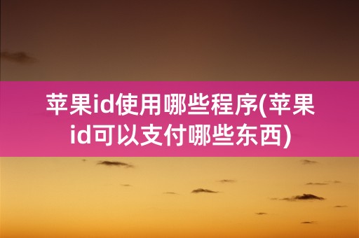 苹果id使用哪些程序(苹果id可以支付哪些东西)