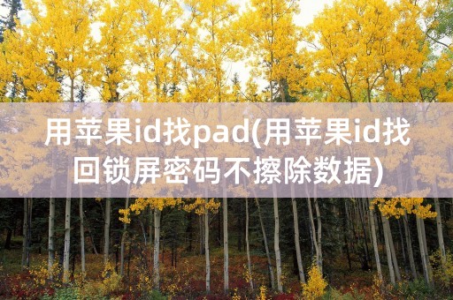 用苹果id找pad(用苹果id找回锁屏密码不擦除数据)