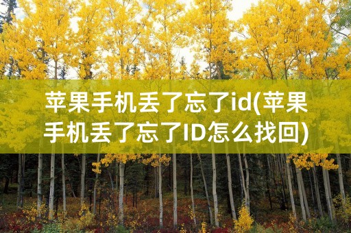 苹果手机丢了忘了id(苹果手机丢了忘了ID怎么找回)