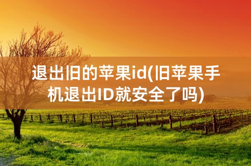 退出旧的苹果id(旧苹果手机退出ID就安全了吗)