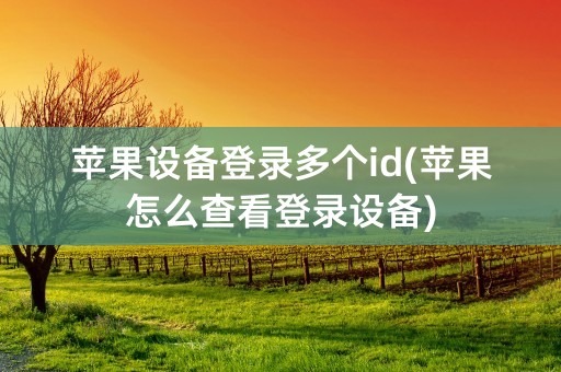 苹果设备登录多个id(苹果怎么查看登录设备)