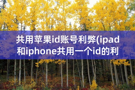 共用苹果id账号利弊(ipad和iphone共用一个id的利弊)