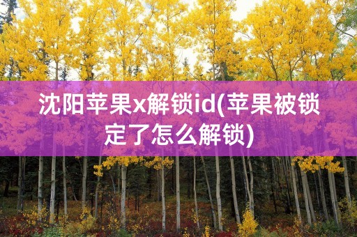 沈阳苹果x解锁id(苹果被锁定了怎么解锁)