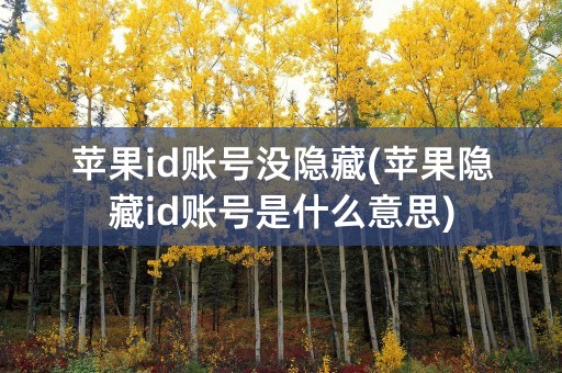 苹果id账号没隐藏(苹果隐藏id账号是什么意思)