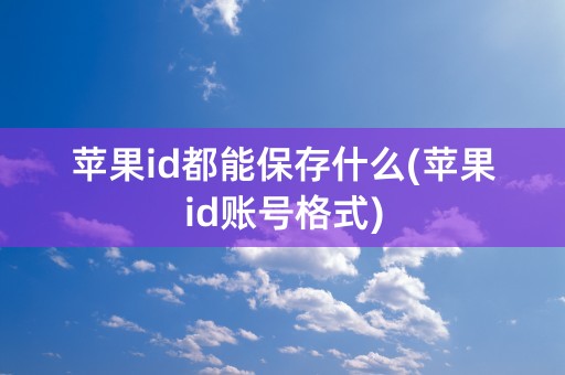 苹果id都能保存什么(苹果id账号格式)